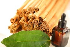 Alba Grade Pure Organic cinnamon sticks 50 g