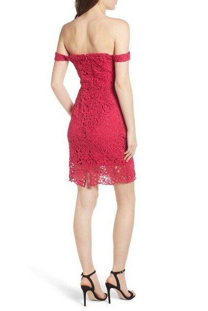 astr lace bodycon dress