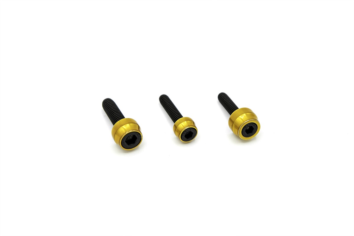 SANTORO FABWORX 2023 Harley Davidson FXST Softail CHACHO'S BOLT