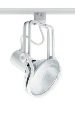 Juno Track Lighting T437SL Trac-Master Wireform PAR38 Track Light, Silver