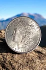 1884-CC Morgan Silver Dollar GemBrilliant Uncirculated Mint State