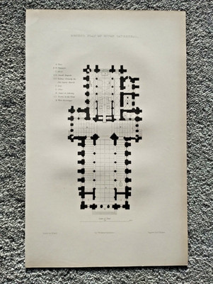 Grundriss der Kathedrale von Ripon - antiker Druck - 1842