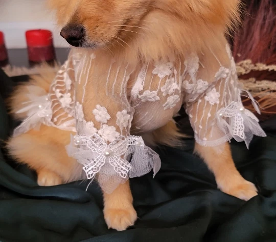 Dog Dress Elegant Lace Floral Embroidered White Spring / Small Dog Dress - Image 2 of 4