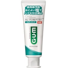 Gum Dental paste Salty mint Toothpaste 150g Sunstar from Japan