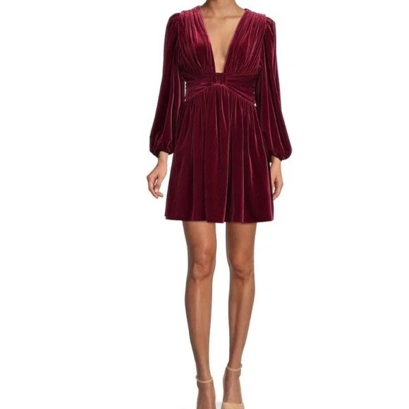 Gianni bini 2025 velvet dress