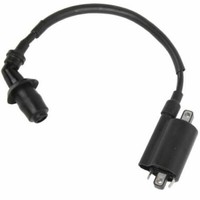 ZüNdspule Sym Joymax Evo 300 2009 2010