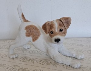 Lenox - Jack Russell Terrier