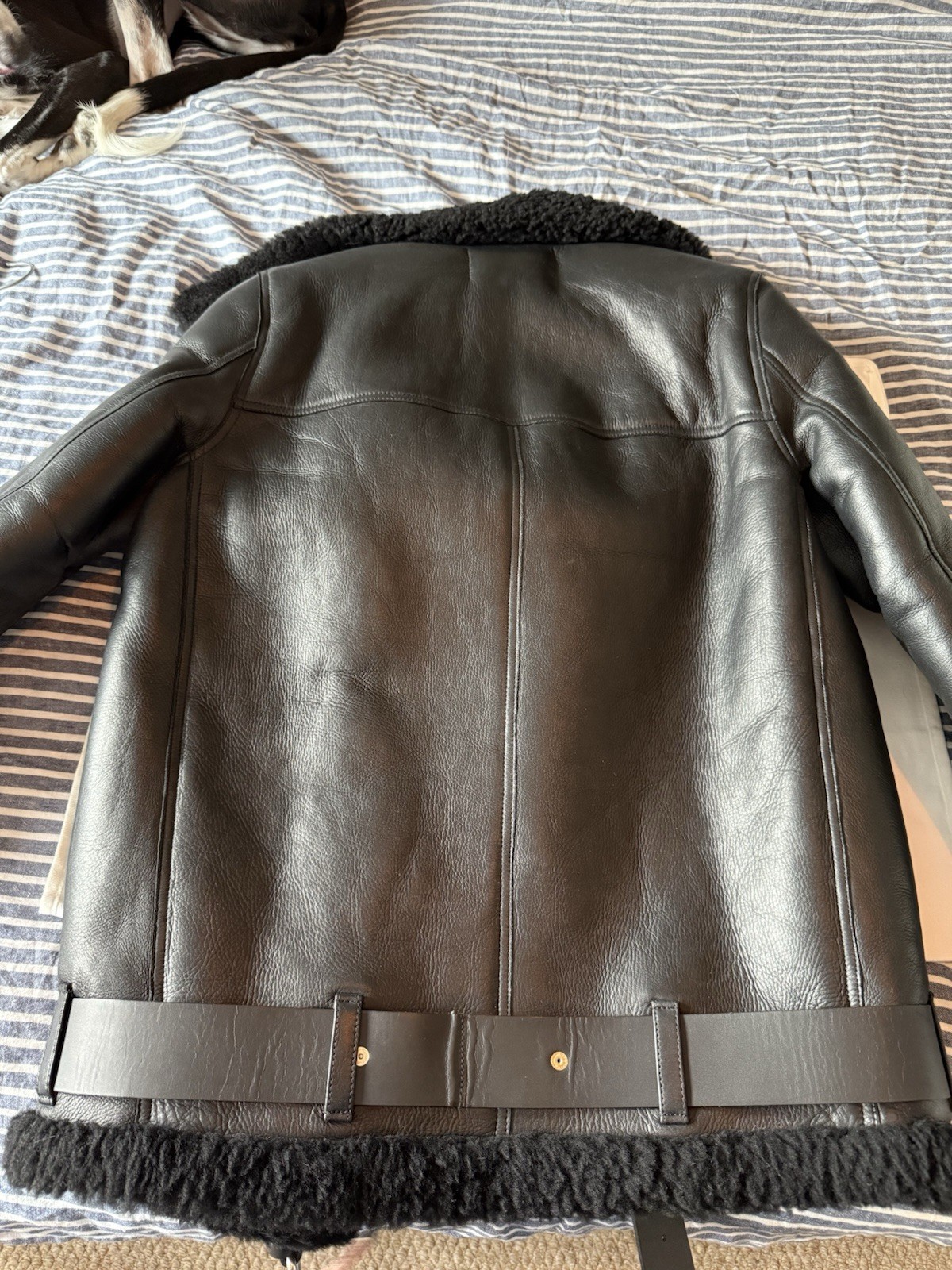 Acne Studios Velocite Shearling Leather Jacket Black image 3