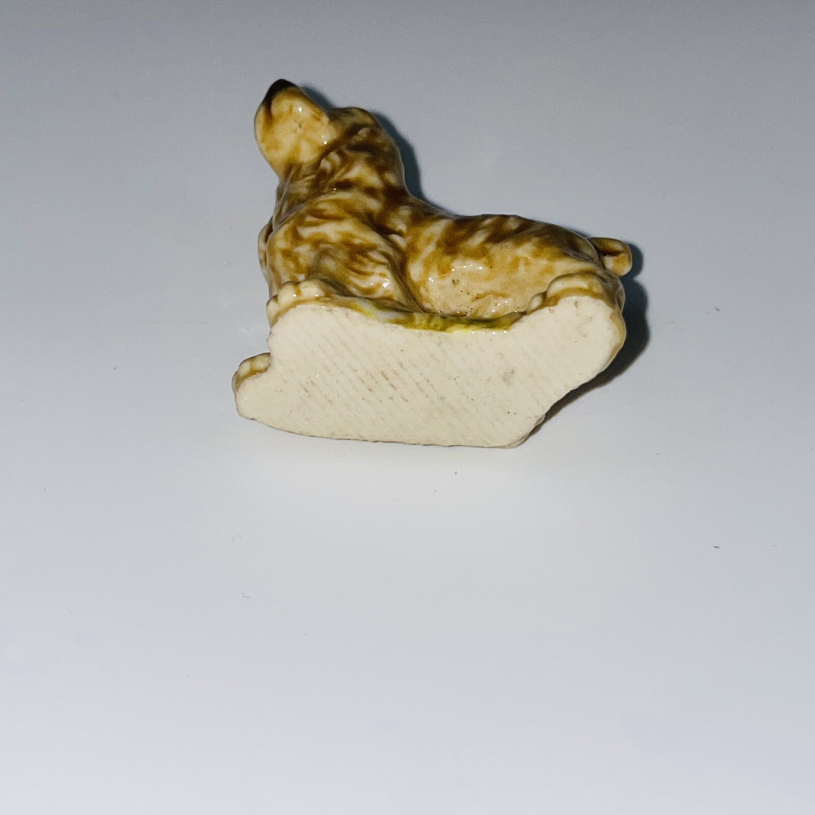 Picture 7 of 7