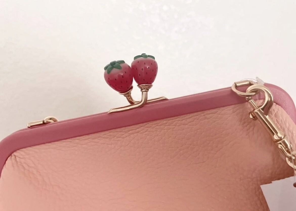Coach Nora Kisslock Crossbody With Strawberry C8401 | eBay
