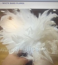 7  White feather plume, used in real marching band
