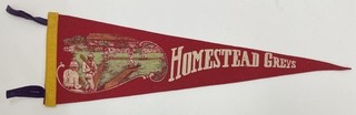 Vintage HOMESTEAD GREYS Negro League Felt Full Size Baseball Pennant