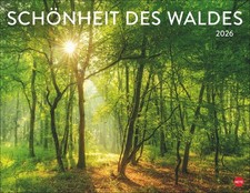 Kalender 2026 - Schönheit des Waldes Posterkalender