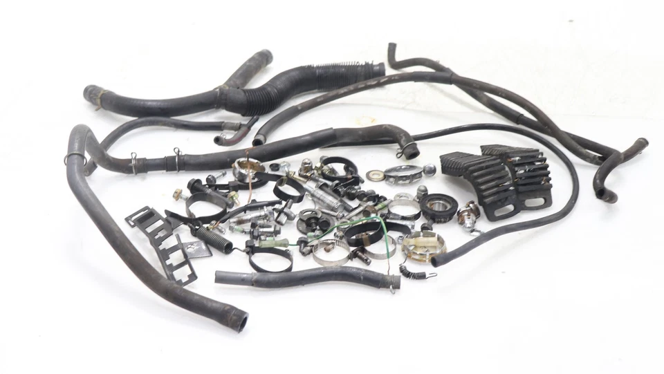 Honda Shadow Ace 1100 1996 misc pernos pernos mangueras Foto 3 de 4