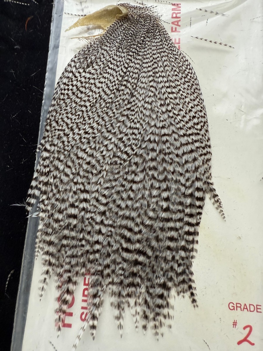 ルアー・フライ HOFFMAN #1 GRIZZLY Roostar Cape Vintage Hoffman Dry Fly Super cape from Ronn Lucas