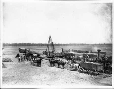 Steam threshing beans on the Centinela Ranch California Old Photo