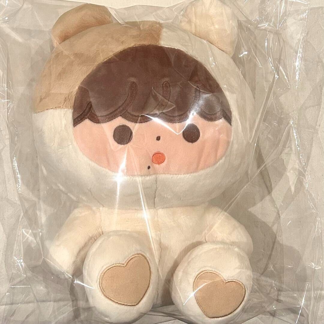 NCT DREAM Jisung Plush Doll 40cm Master Wangposongi Kpop NCT DREAM Jisung Plush Doll 40cm Master Wangposongi Kpop