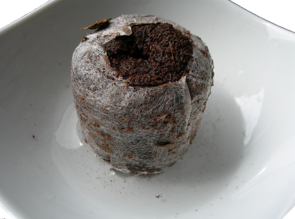 Pastilles de Tourbes Jiffy x50 - Peat Pellets