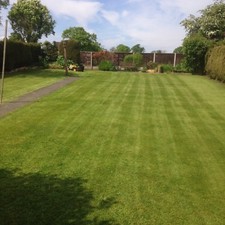 Tree. Down /Shed /Fence /Wood Removal Man Hire -Shropshire Cheshire