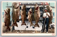 Cartolina Pesca Spigola Record Mondiale Isola di Santa Catalina Meteor Boat Co