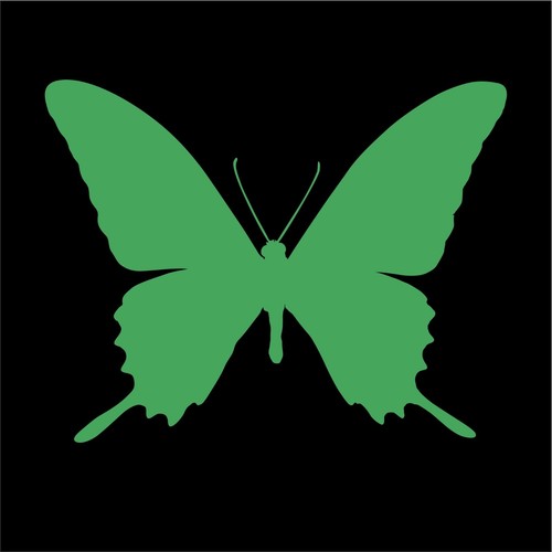 BUTTERFLY Decals Sticker, Vinyl, Car, Truck, Window, Choice of Sizes & Colors - Picture 9 of 15