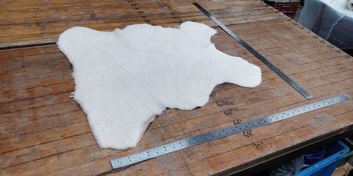 Beige Genuine SheepSkin Leather Short Pile 10mm Thick LOT 1395 Rug Car Seat Pets - Picture 7 of 8