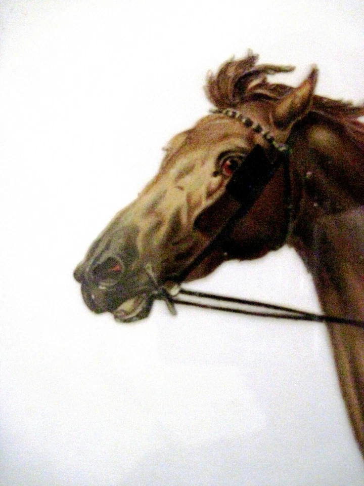 Hermoso arnés troquelado grande de carreras con impresionante caballo y jinete * Foto 3 de 4