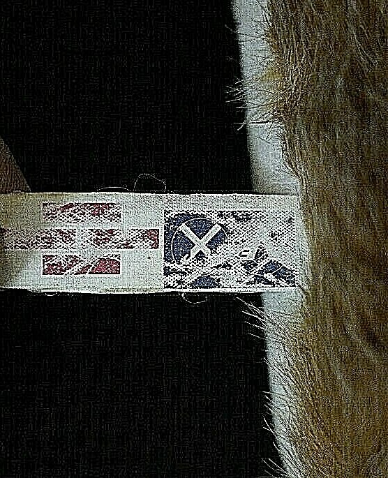 Bild 3 von 12