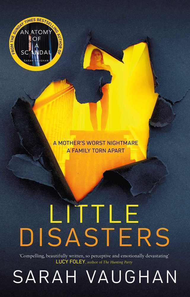 Thumbnail - Little Disasters | Sarah Vaughan | 2020 | Englisch