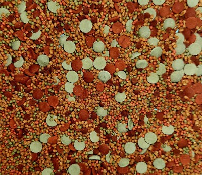 ABF Ultra Floating & Sinking Betta/Bottom Feeder Mix,Catfish,Pleco,Fish ABF114W