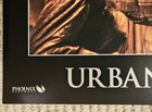 Urban Legend 1998 Original US 11x14 Lobby Card SET of 8 Horror  — photo 10