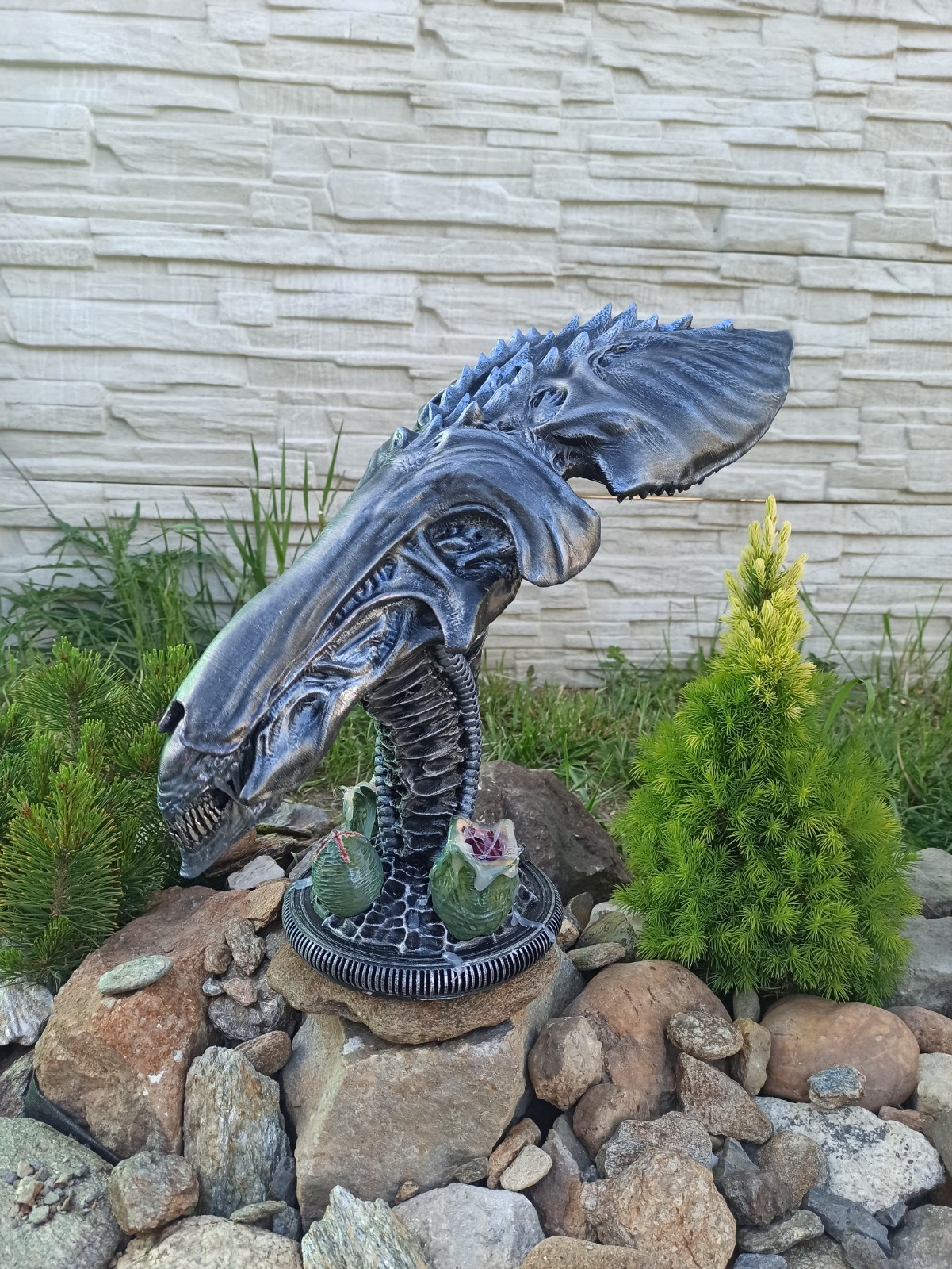Picture 24 of 24