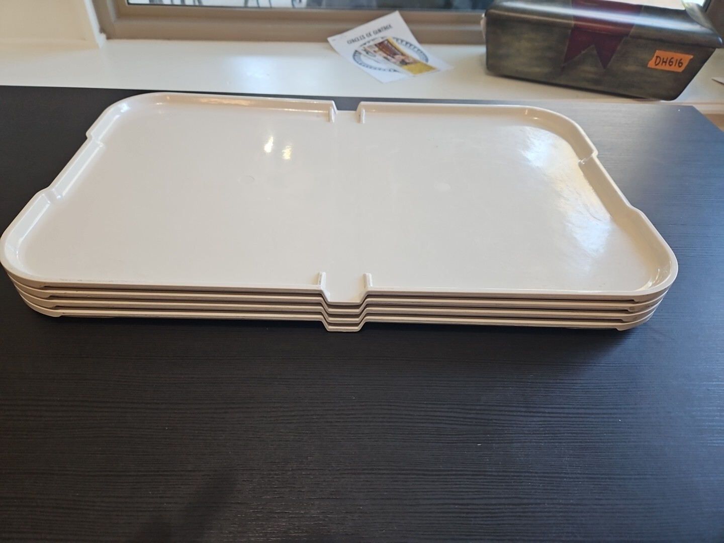 Lot Of Four Aladdin Temp-Rite Convect-Rite 3 Trays.