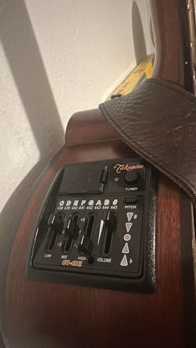Takamine P1jc