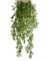 Artplants KüNstlicher Busch Asparagus Sprengeri HäNger Cole, Steckstab, 75Cm