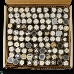 Box of 100 Penny Tubes - Pre Owned Sorting Tubes - Great for building rolls