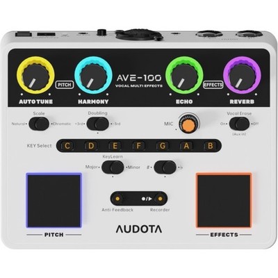 Audota AVE-100 Vocal Multi Effekt Prozessor für Gesang & Bühne | Neu