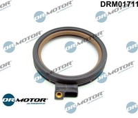 Dr.Motor Automotive DRM01711 Wellendichtring FüR Kurbelwelle