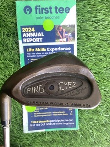 Ping Eye 2 Becu | eBay