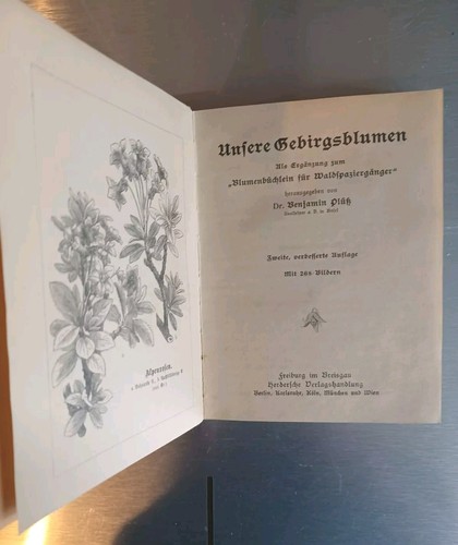 Antik 1919 Buch Dr.B. Plüss UNSERE GEBIRGSBLUMEN Botanik Flora Alpen Blumen - Bild 2 von 8