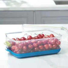 Princess House Vida Sana Medium Produce Saver (5581) New!