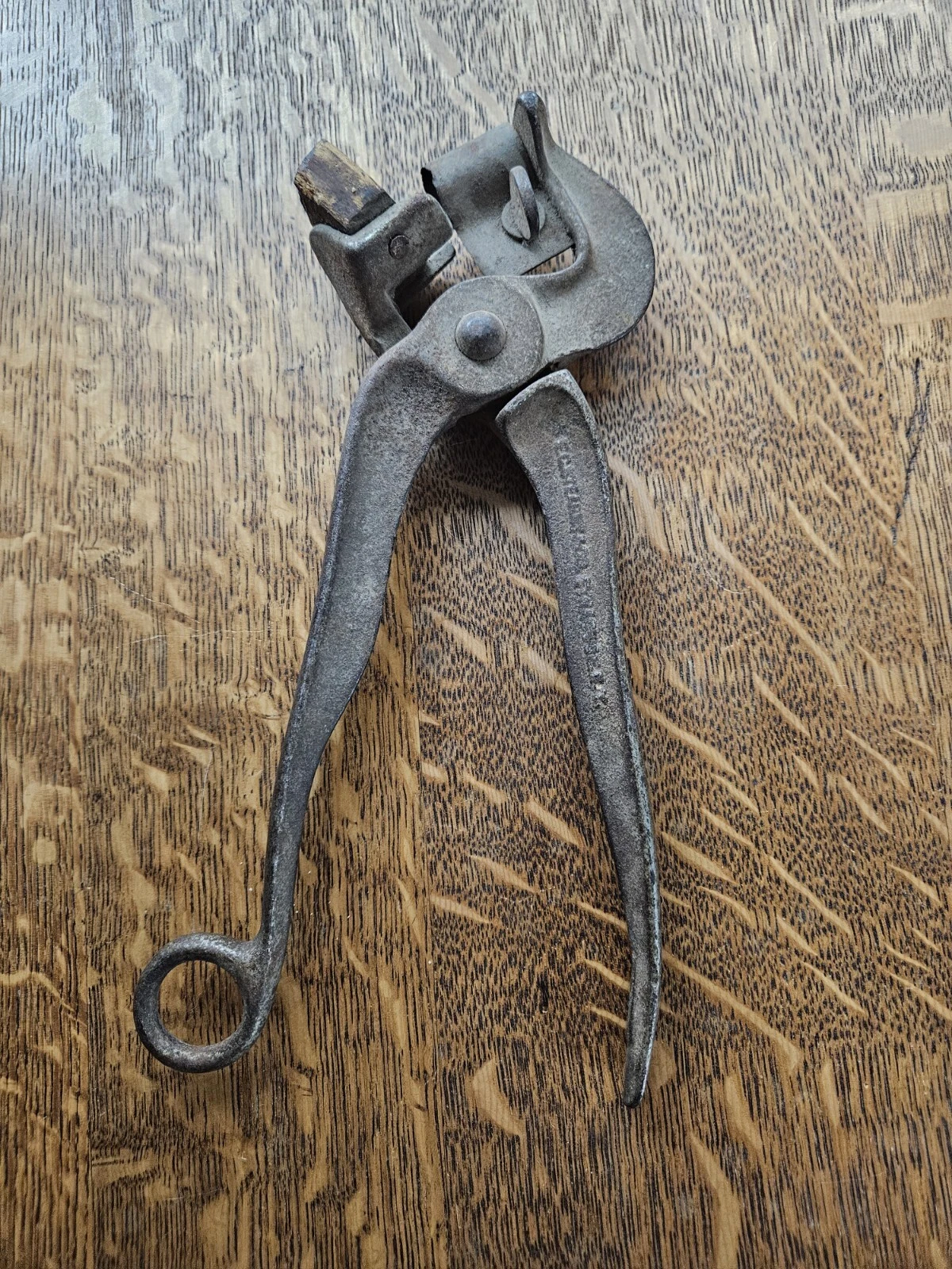 ANTIQUE E.C. STEARNS & CO USA Syracuse NY Ear Notching Farm Tool