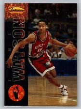 1994 Ted Williams Jamie Watson #74