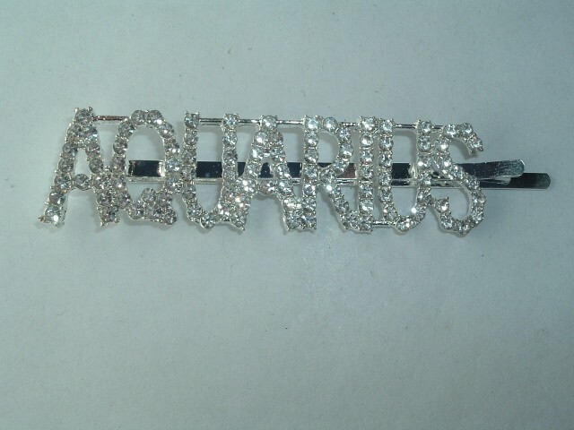 Aquarius Zodiac Rhinestone Bobby Pin Hair Barrette Accessory