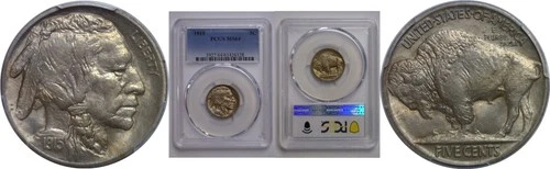 1915 Buffalo Nickel   PCGS MS-64