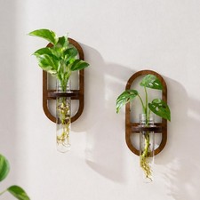 Plant Propagation Station Wall Hanging, Planter Terrariums Tube
