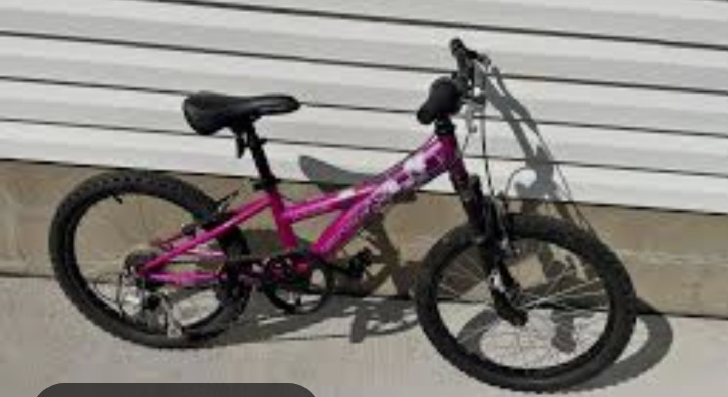 20 Inch Diamondback Tess Mountain Bike 