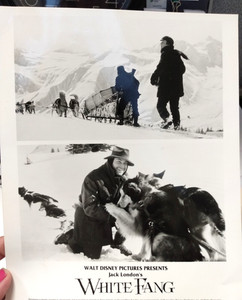 Walt Disney's White Fang video press packet and photo
