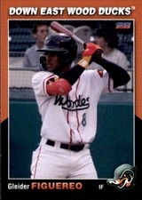 2023 Down East Wood Ducks Choice #23 Gleider Figuereo Dominican Republic DR Card