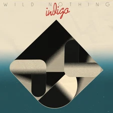 Wild Nothing INDIGO Captured Tracks NEW SEALED CD